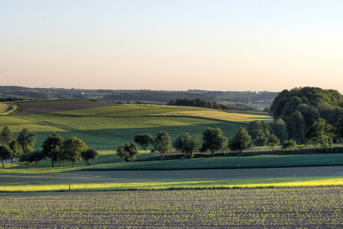 Flache bis hügelige Landschaft in der Region Sauwald Pramtal 