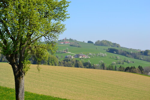 Landschaftsfoto mit Blick auf Felder, Wiesen und Bauernhöfe in der Region Traunviertler Alpenvorland