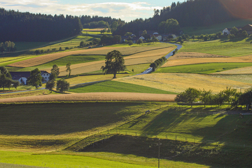 Landschaftsfoto mit Wiesen und Felder in der Region Mühlviertler Kernland