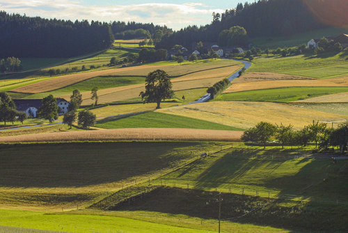 Landschaftsfoto mit Wiesen und Felder in der Region Mühlviertler Kernland Landschaftsfoto mit Wiesen und Felder in der Region Mühlviertler Kernland