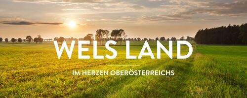Landschaftsfoto mit Wiese und Wälder in der Region Wels Land Landschaftsfoto mit Wiese und Wälder in der Region Wels Land